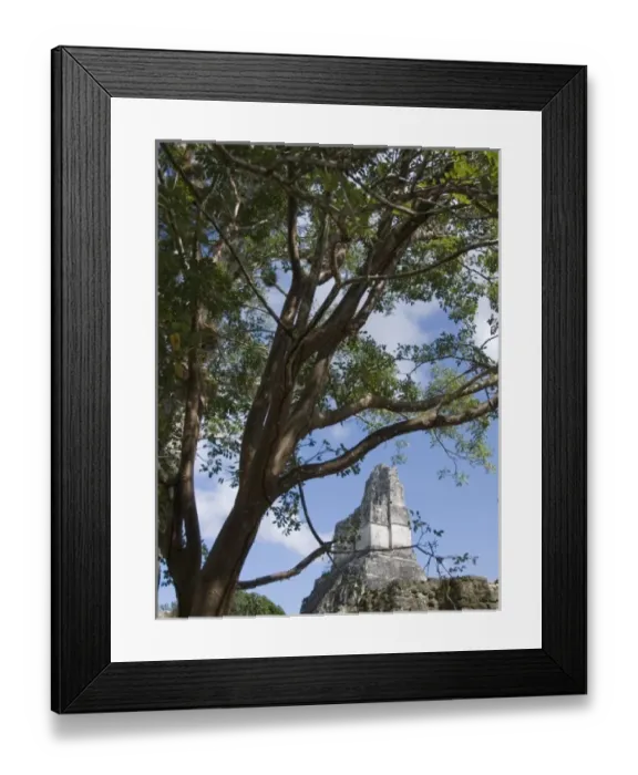 Framed Print : Tikal, Guatemala: Tikal Maya Ruins, Pyramid #1 Framed Print : Tikal, Guatemala: Tikal Maya Ruins, Pyramid #1