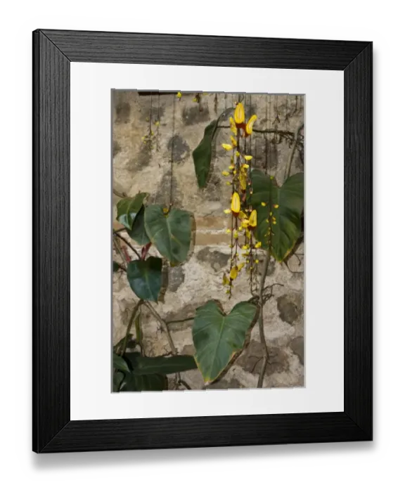 Framed Print : Central America, Guatemala