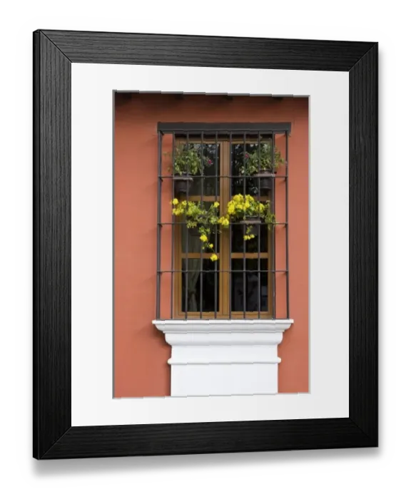 Framed Print : Guatemala, Antigua. Window with flower pots on colonial home in Antigua Framed Print : Guatemala, Antigua. Window with flower pots on colonial home in Antigua