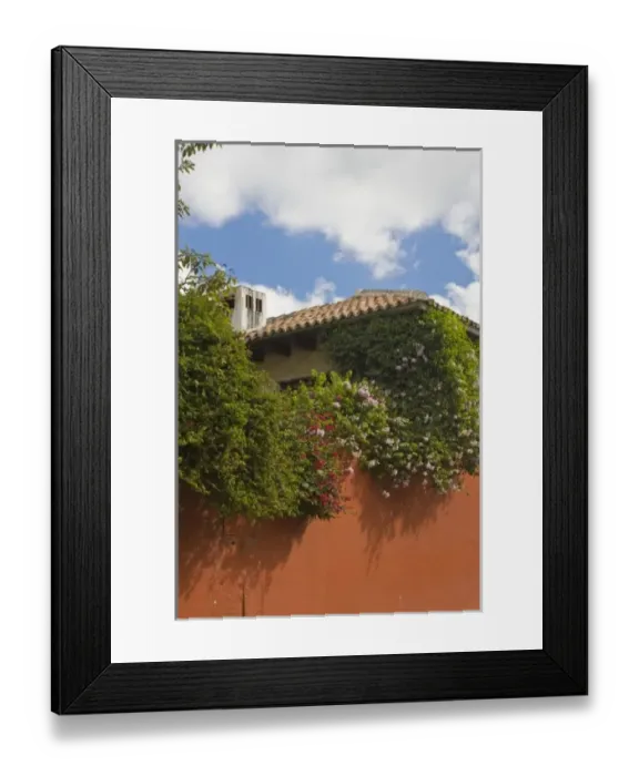 Framed Print : Guatemala, Antigua. Colonial architecture with flowers blooming along the wall Framed Print : Guatemala, Antigua. Colonial architecture with flowers blooming along the wall