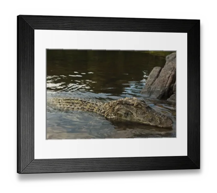 Framed Print : South America, Guyana Framed Print : South America, Guyana