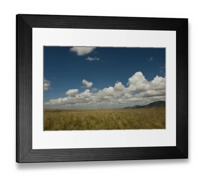 Framed Print : Savannah Scenic Rupununi, Guyana Framed Print : Savannah Scenic Rupununi, Guyana
