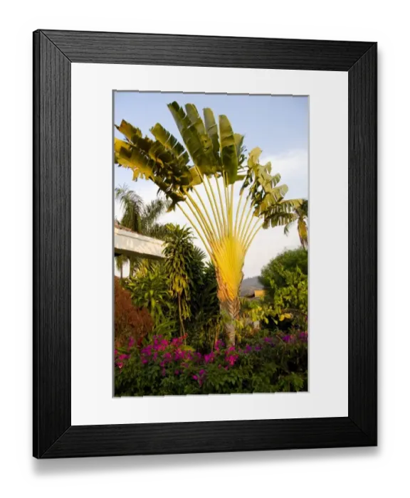 Framed Print : Central America, Honduras