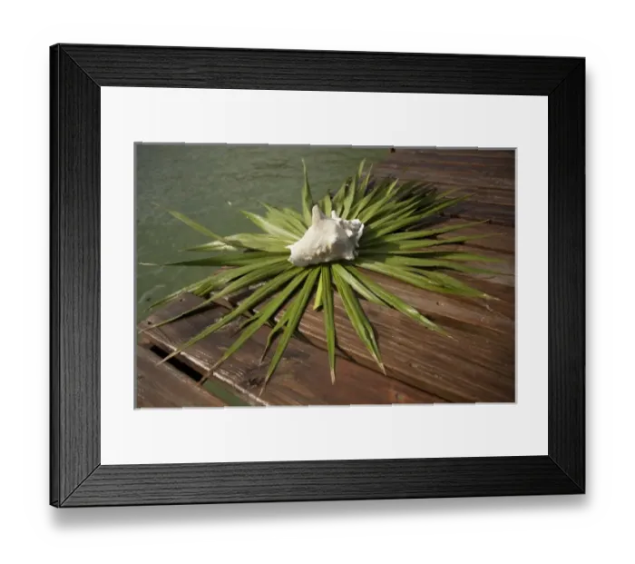 Framed Print : Central America, Honduras