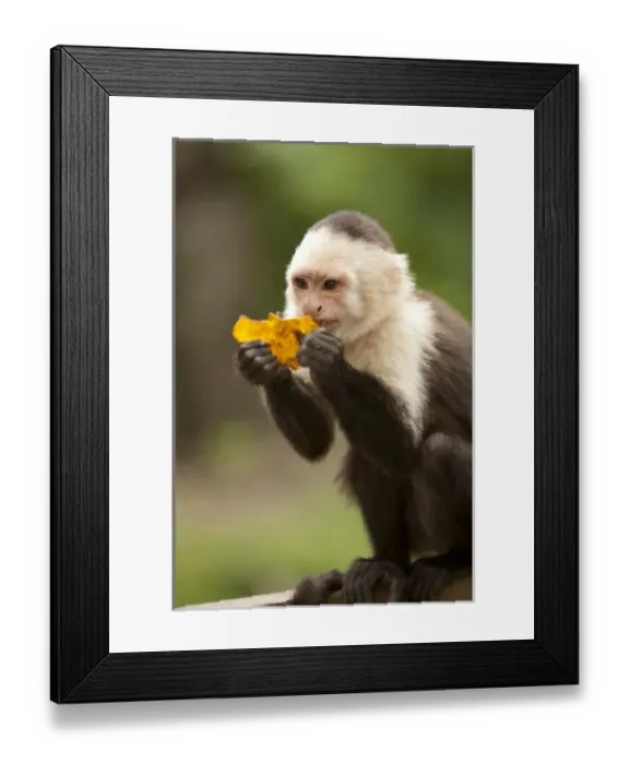 Framed Print : Central America, Honduras Framed Print : Central America, Honduras