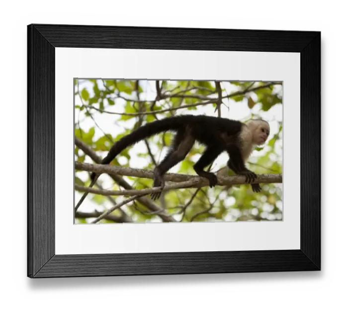 Framed Print : Central America, Honduras Framed Print : Central America, Honduras
