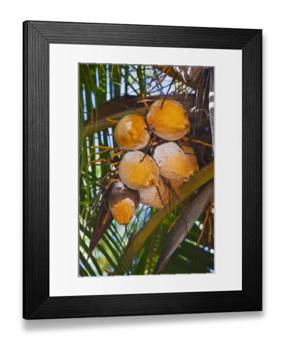 Framed Print : Central America, Honduras Framed Print : Central America, Honduras