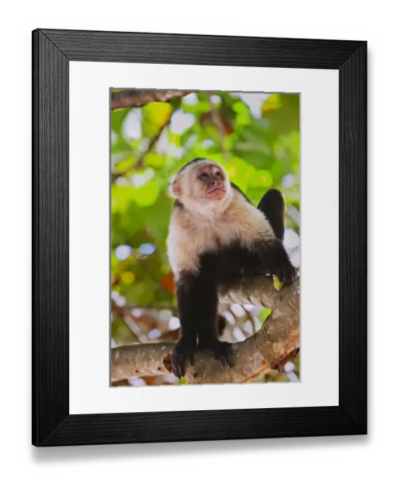 Framed Print : Central America, Honduras Framed Print : Central America, Honduras