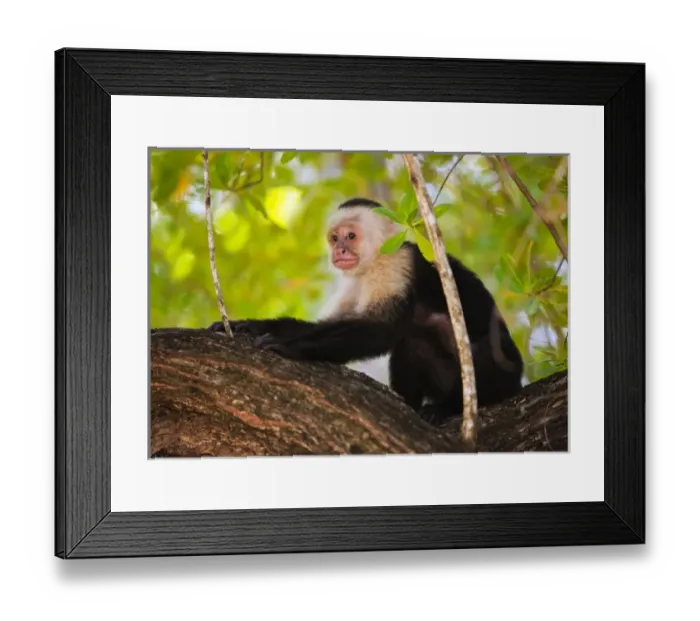 Framed Print : Central America, Honduras Framed Print : Central America, Honduras