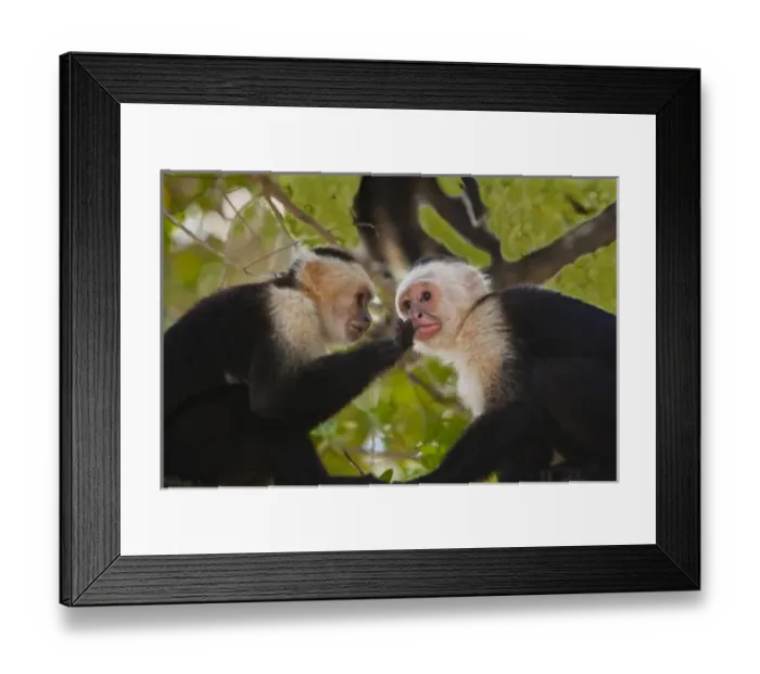 Framed Print : Central America, Honduras