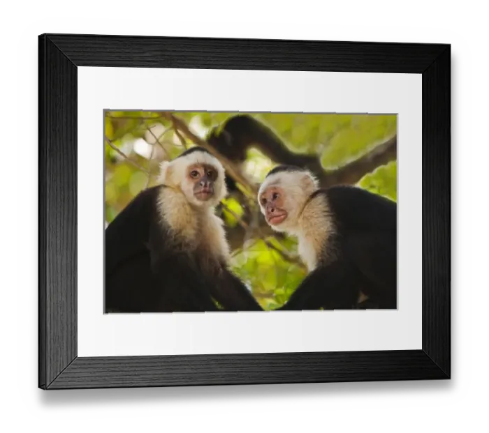 Framed Print : Central America, Honduras Framed Print : Central America, Honduras