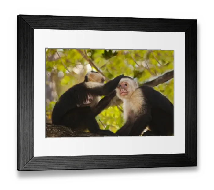 Framed Print : Central America, Honduras
