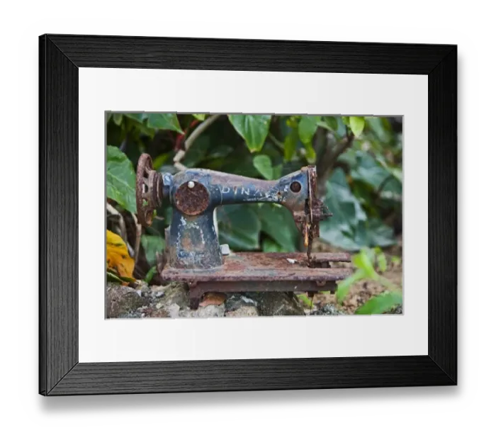 Framed Print : Artisic scenes at the Jade Sea Horse on Utila in Honduras