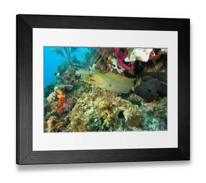 Framed Print : Central America, Honduras Framed Print : Central America, Honduras