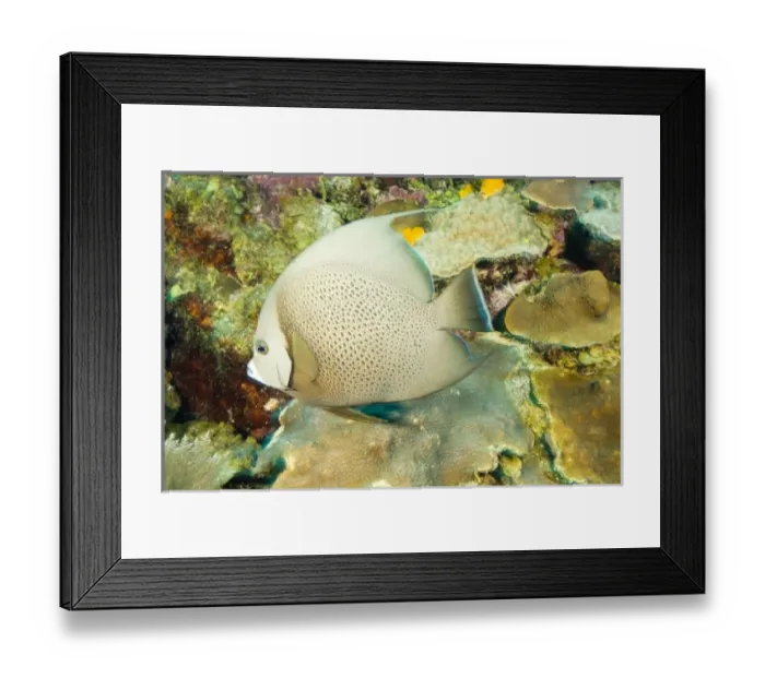 Framed Print : Central America, Honduras Framed Print : Central America, Honduras