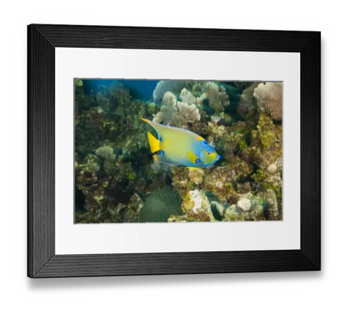 Framed Print : Central America, Honduras Framed Print : Central America, Honduras