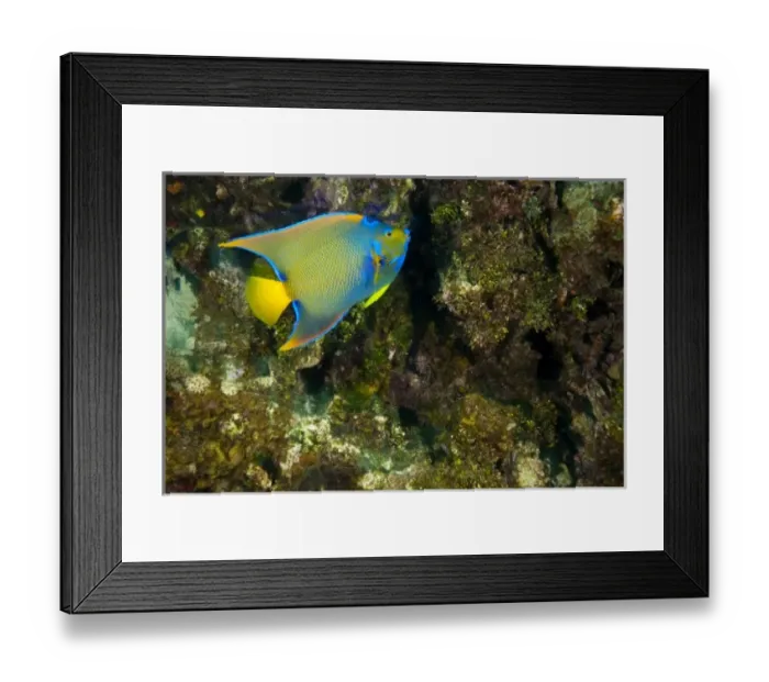 Framed Print : Central America, Honduras Framed Print : Central America, Honduras