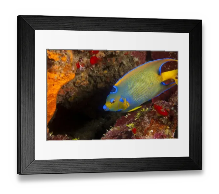 Framed Print : Central America, Honduras