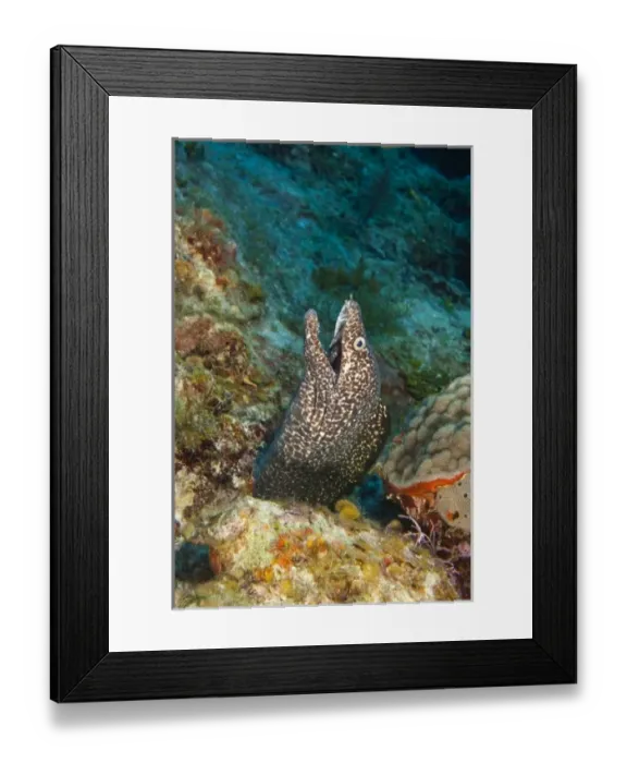 Framed Print : Central America, Honduras Framed Print : Central America, Honduras