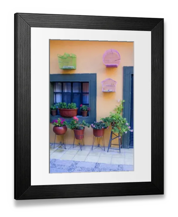 Framed Print : Mexico, San Miguel de Allende, Bird cages and pots of geraniums in courtyard Framed Print : Mexico, San Miguel de Allende, Bird cages and pots of geraniums in courtyard