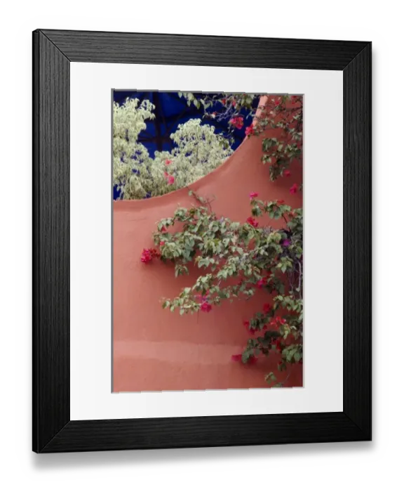 Framed Print : Mexico, San Miguel de Allende, Bougainvillea and stucco wall