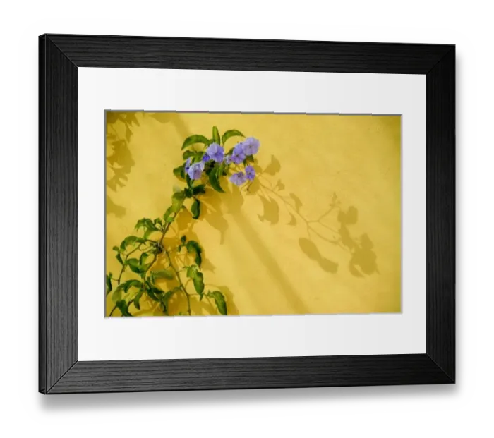 Framed Print : North America, Mexico