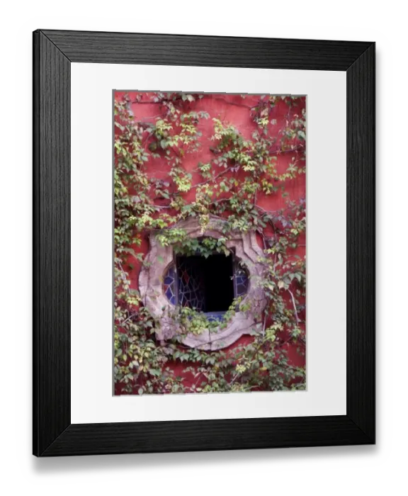 Framed Print : Mexico, San Miguel de Allende, Ivy on Stucco Wall with Tile Window Framed Print : Mexico, San Miguel de Allende, Ivy on Stucco Wall with Tile Window