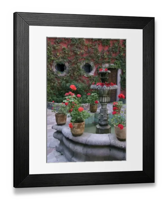 Framed Print : Mexico, San Miguel de Allende, Terrace with geraniums on fountain in front of home Framed Print : Mexico, San Miguel de Allende, Terrace with geraniums on fountain in front of home