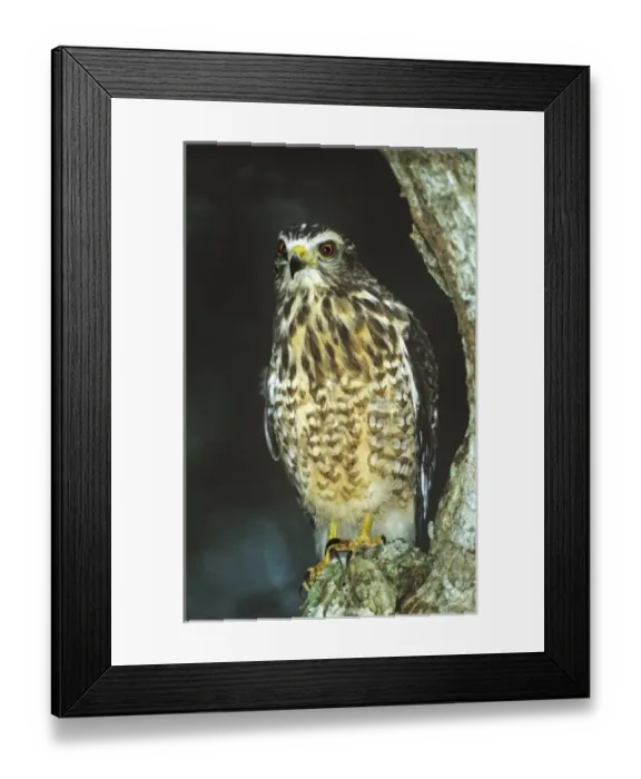 Framed Print : North America, Mexico Framed Print : North America, Mexico