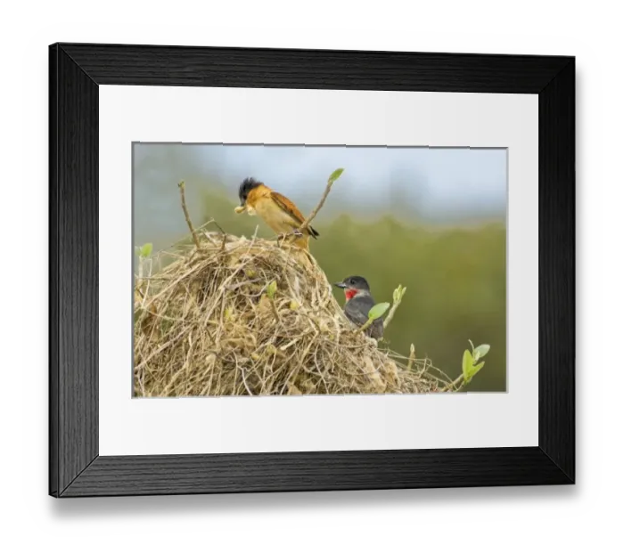 Framed Print : North America, Mexico