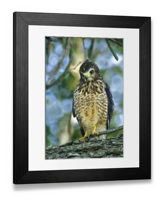 Framed Print : North America, Mexico Framed Print : North America, Mexico