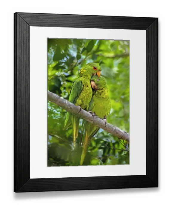 Framed Print : North America, Mexico Framed Print : North America, Mexico