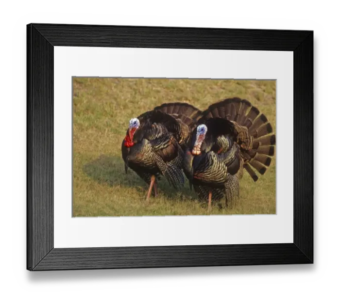 Framed Print : North America, Mexico Framed Print : North America, Mexico