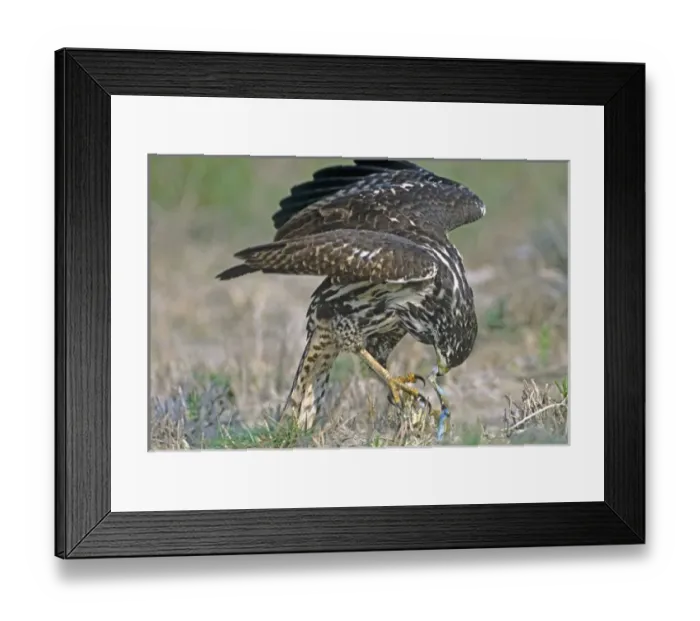 Framed Print : North America, Mexico Framed Print : North America, Mexico