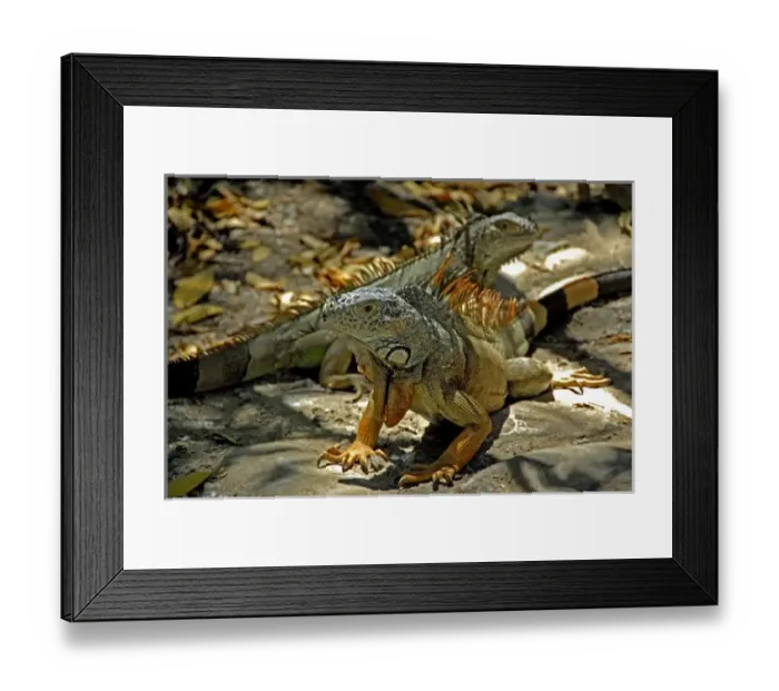 Framed Print : North America, Mexico Framed Print : North America, Mexico