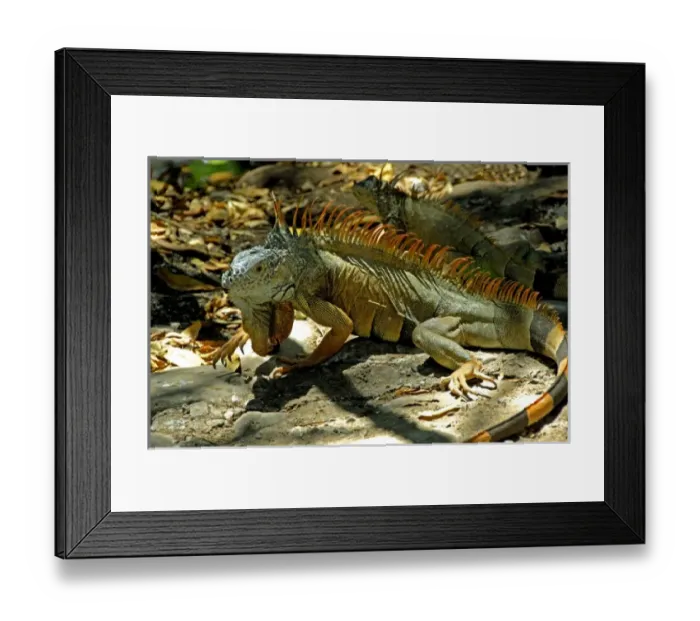 Framed Print : North America, Mexico Framed Print : North America, Mexico