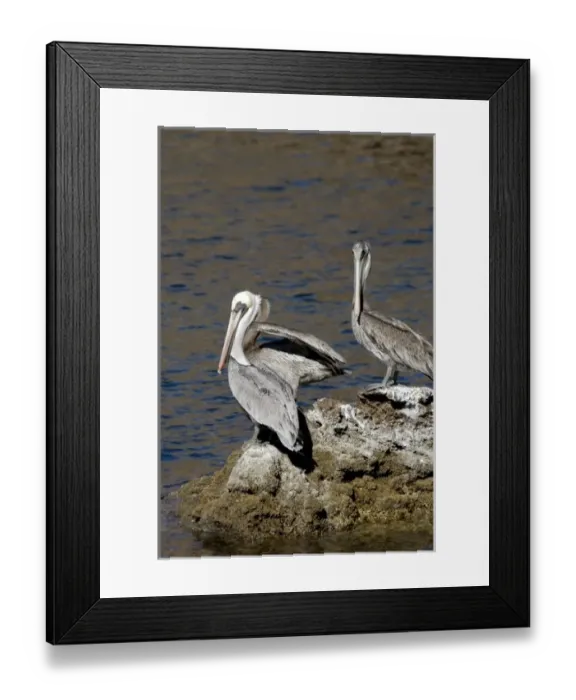 Framed Print : North America, Mexico Framed Print : North America, Mexico