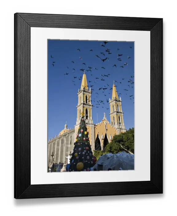 Framed Print : North America, Mexico, Mazatlan. The Cathedral with a flock of pigeons Framed Print : North America, Mexico, Mazatlan. The Cathedral with a flock of pigeons
