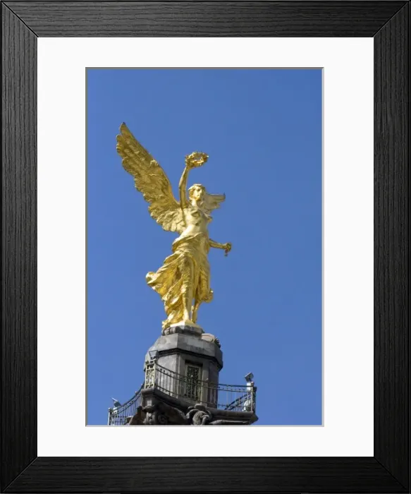 Framed Print : El Angel de la Independencia in Mexico City, Mexico