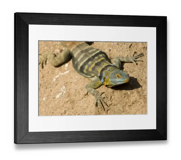 Framed Print : North America, Mexico