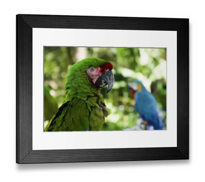 Framed Print : North America, Mexico Framed Print : North America, Mexico