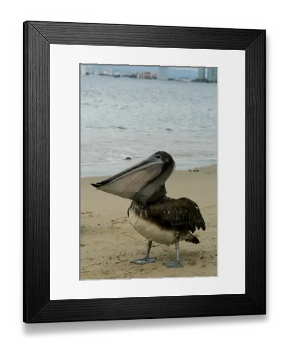 Framed Print : North America, Mexico Framed Print : North America, Mexico