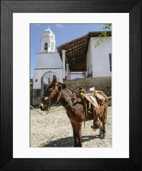 Framed Print : San Sebastian, Mexico. Old historic silver mining town from the 1700 s. Burro Framed Print : San Sebastian, Mexico. Old historic silver mining town from the 1700 s. Burro