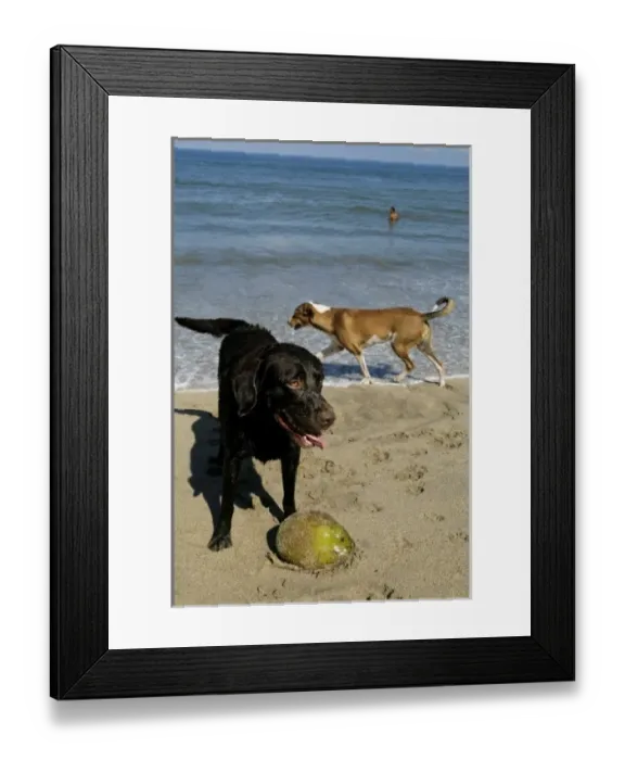 Framed Print : North America, Mexico Framed Print : North America, Mexico