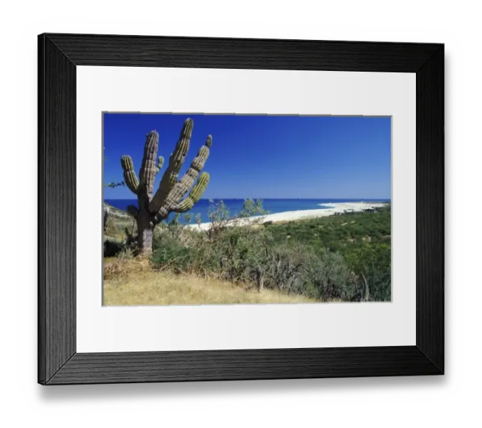 Framed Print : Coast near Cabo Pulmo, Baja, Mexico Framed Print : Coast near Cabo Pulmo, Baja, Mexico