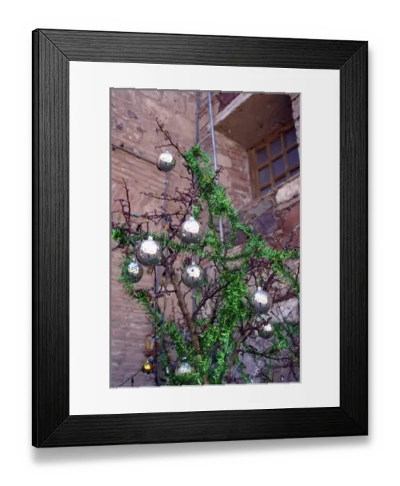 Framed Print : Americas, Mexico, Baja California Sur, Loreto. Christmas decor at the Jesuit Mission Framed Print : Americas, Mexico, Baja California Sur, Loreto. Christmas decor at the Jesuit Mission