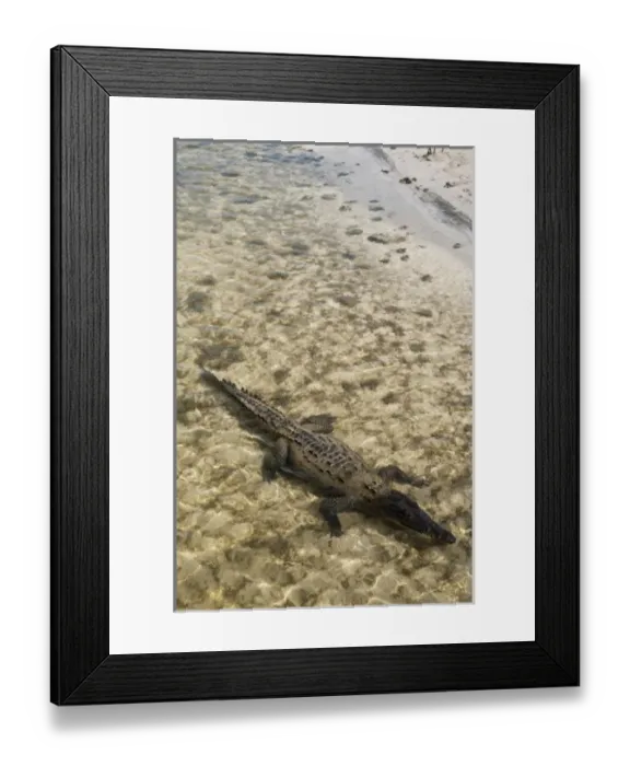 Framed Print : North America, Mexico Framed Print : North America, Mexico