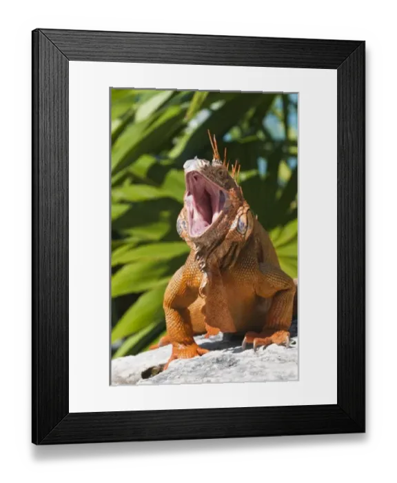 Framed Print : North America, Mexico Framed Print : North America, Mexico