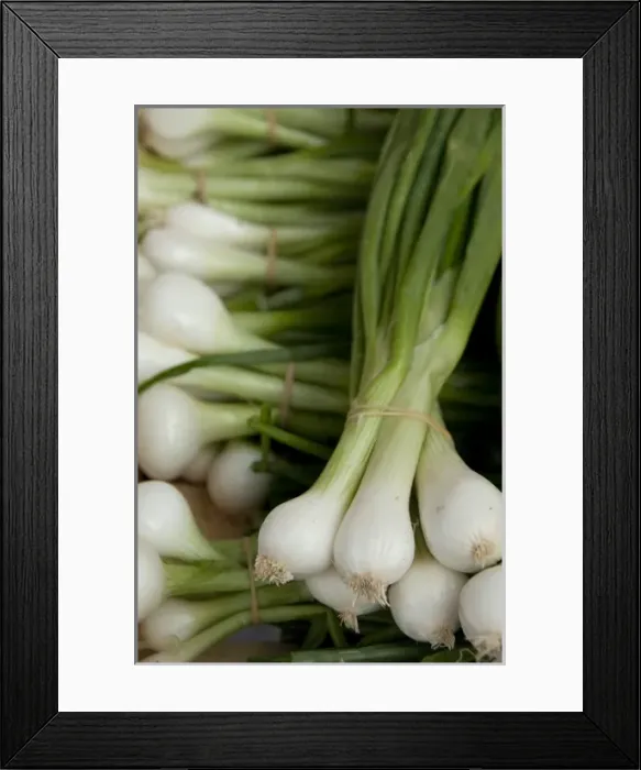 Framed Print : Europe, Germany