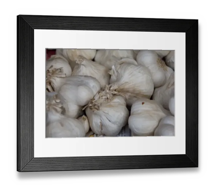 Framed Print : Germany, Bavaria, Passau. Open-air farmers market, garlic Framed Print : Germany, Bavaria, Passau. Open-air farmers market, garlic